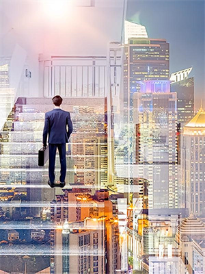 羅峰白麗莎小說全文